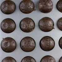 Caramel Spiked Chocolate Donut Holes. The best baked donut holes you'll ever make! tender, fluffy and intensely chocolate-y with a spike of caramel in the donut and glaze! Get the step by step recipe-foodallianceblog.com