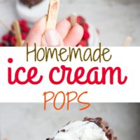 Long Pin for Homemade Ice Cream Pops