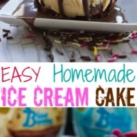 Mini Ice Cream Cakes - pin