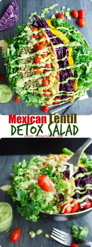 Mexican Lentil Detox Salad | This easy vegan salad with mangoes, soybeans, cabbage, kale, corn and apple slices is just what the doctor ordered! Serve this easy Mexico-inspired salad with my Green Goddess Guacamole Dressing for a healthy paleo meal. | foodallianceblog.com | #vegan, #salad, #Mexican, #paleo, #detox, #cleaneating, #easy, #mealprep