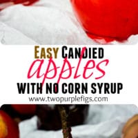 long pin for candy apples