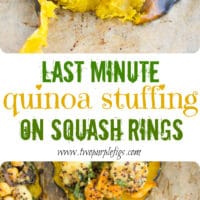 Last Minute Quinoa Kale Stuffing Topped Squash Rings