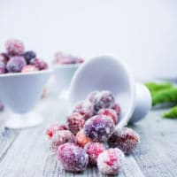 Long pin for Sugared Cranberries