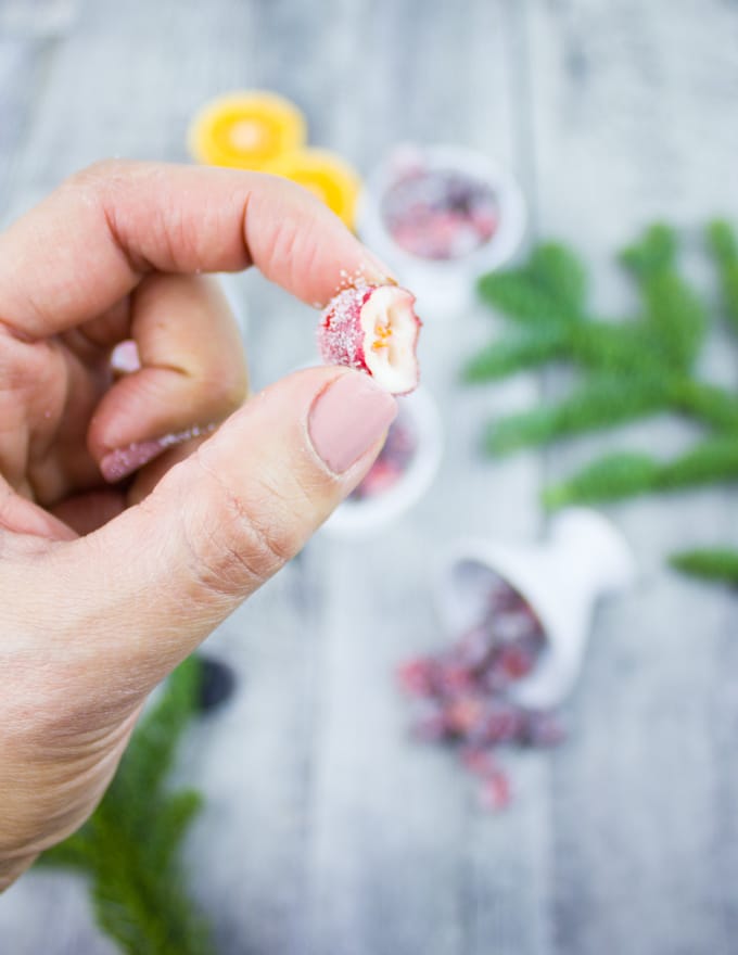 A hand holding a sugared cranberries bitten up
