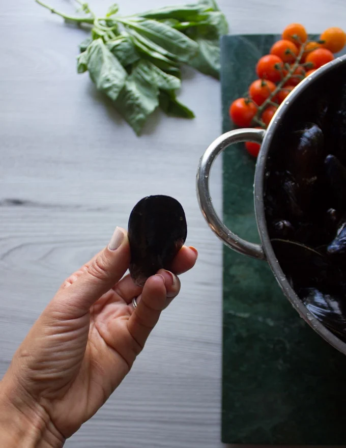 A hand holding a cleaned and closed fresh mussel before cooking
