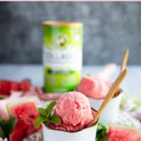 watermelon sorbet pin