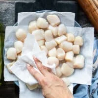 A hand patting down the scallops dry using paper towels