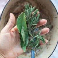 A hand holding fresh rosemary sprigs and bay leaves