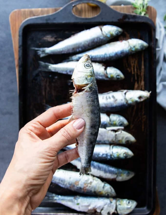A hand holding a fresh healthy sardine showing details of how to buy