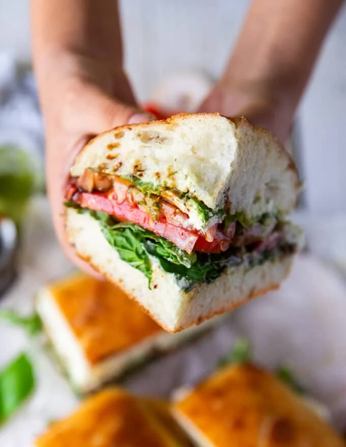 A hand holding a piece of caprese sandwich closeup