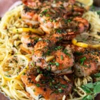 close up of shrimp scampi cooked perfectly showing the details of the shrimp and sauce