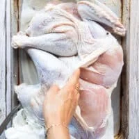 A hand separating the turkey skin from the turkey meat gently exposing how to do that