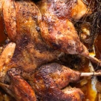 spatchcock turkey long pin