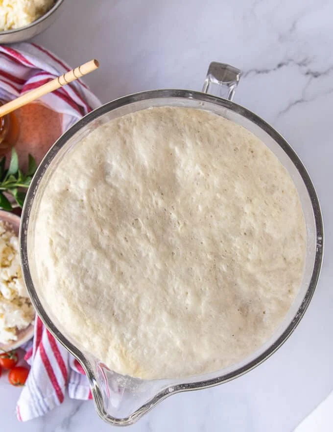 A bowl of homemade pizza dough puffed in a bowl