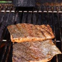 Crispy trout skin grilled and flipped showing the grill marks
