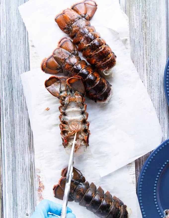 A hand holding a scissors and cutting through the back of the lobster to cut it open