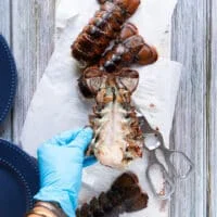 a hand wearing gloves and separating the lobster meat from the shell carefully