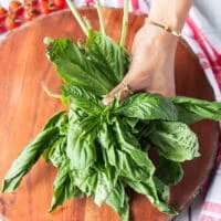 A hand holding three bunches of fresh basil leaves on a round wooden board to make the base of the caprese wreath