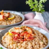 side view of two plates of lobster risotto showing the texture of the creamy risotto and buttery lobster
