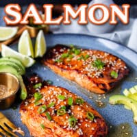 Miso Salmon Pin