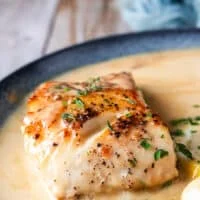 Close up of one black cod in the beurre blanc or creamy lemon sauce for fish