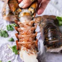 A hand holding fresh lobster tails close up to show the texture and how thawed and read to prep