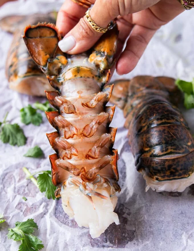 A hand holding fresh lobster tails close up to show the texture and how thawed and read to prep