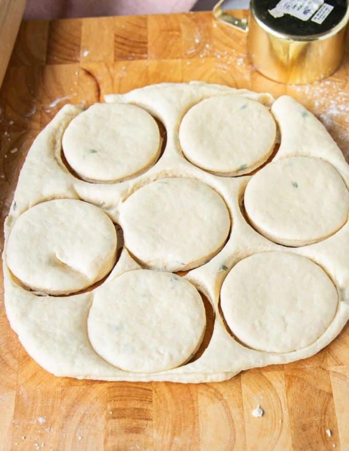 cut our circles of the biscuit dough on the surface