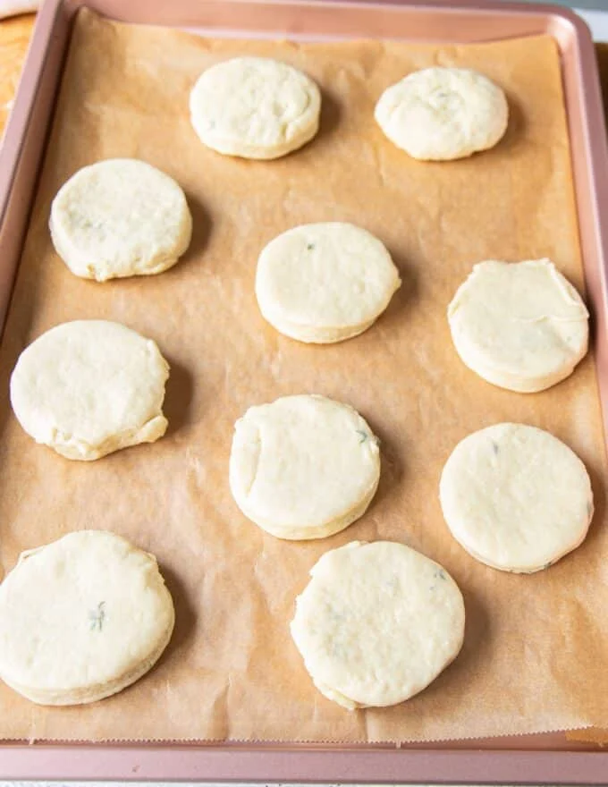 cut out biscuits arranged on a baking sheet with an inch apart space