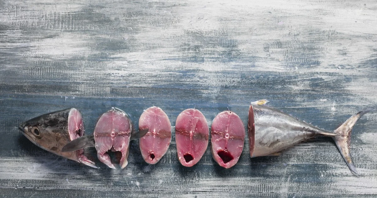 how-often-can-you-eat-tuna-fish-while-pregnant