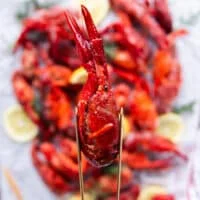 A close up look at crawfish