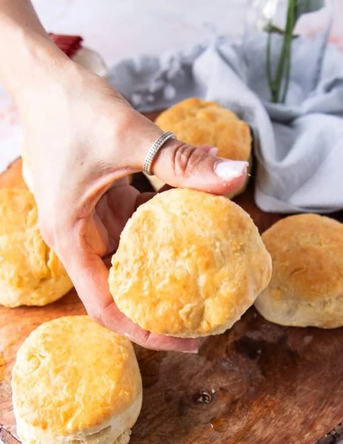 A hand holding a biscuit close up