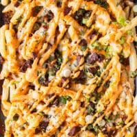 close up of the loaded fries plate all dressed up with sauces, herbs, seasoning and toppings