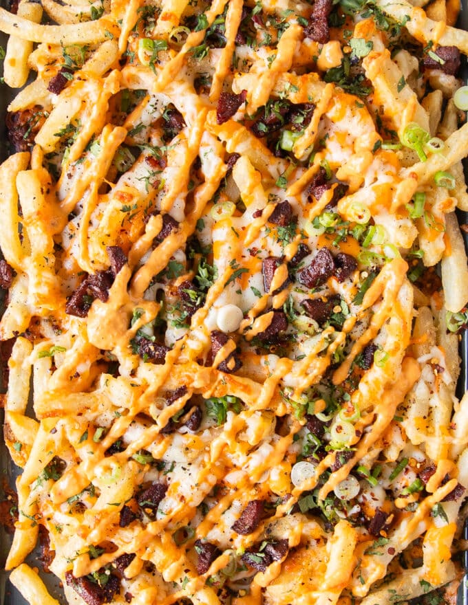 close up of the loaded fries plate all dressed up with sauces, herbs, seasoning and toppings