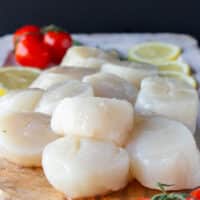 close up of fresh large scallops showing how to buy
