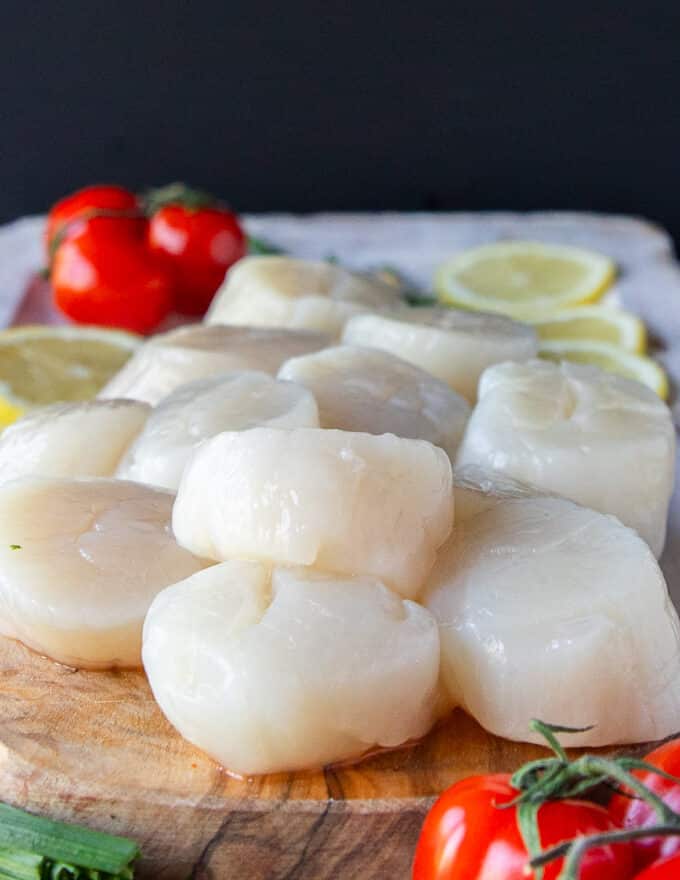 close up of fresh large scallops showing how to buy