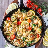 Full plate of perfect scallop pasta with golden scallops and tender pasta in a sauce