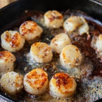 Golden brown perfectly seared scallops in the hot pan